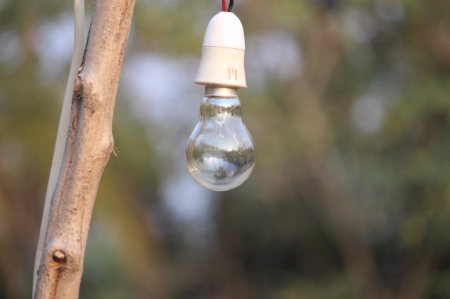 bulb-2908744_1920.jpg