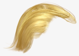 145-1457265_trumps-hair-png-donald-trump-hair-png-transparent.jpg